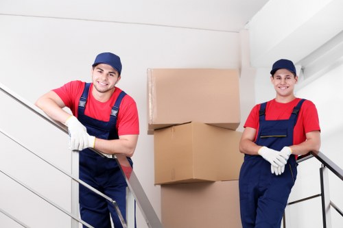 Eco-friendly packing materials and process