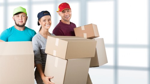 Professional movers planning an office relocation in Kingston