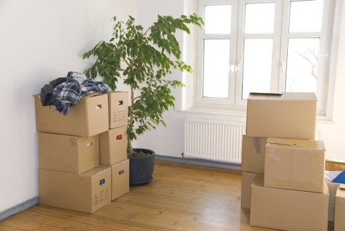Eco-friendly moving practices in action