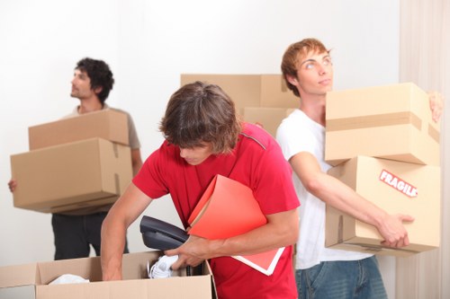Professional movers assisting with the move