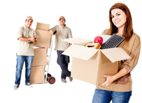 Experienced movers organizing household items